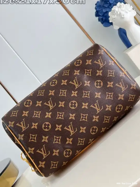 Aaa replica bags Soft 30 Vuitton Speedy Louis Crafty 0609